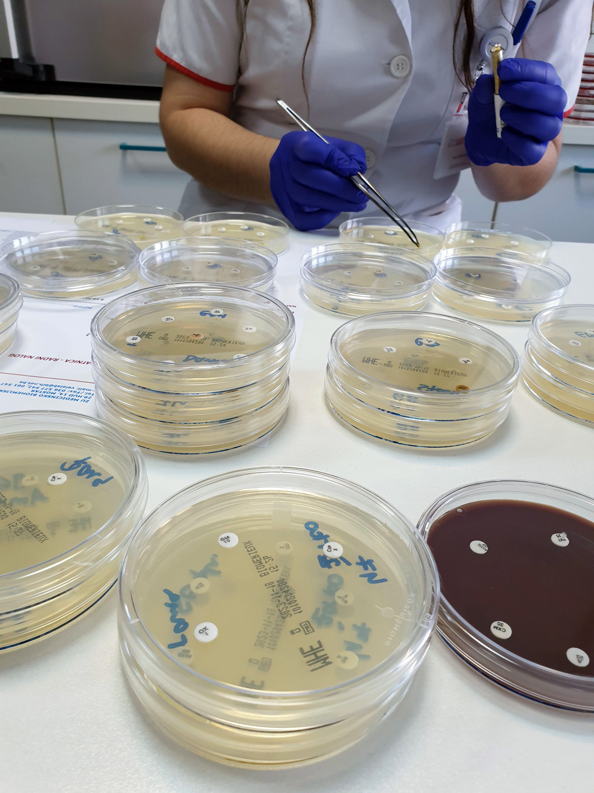 VeleLAB